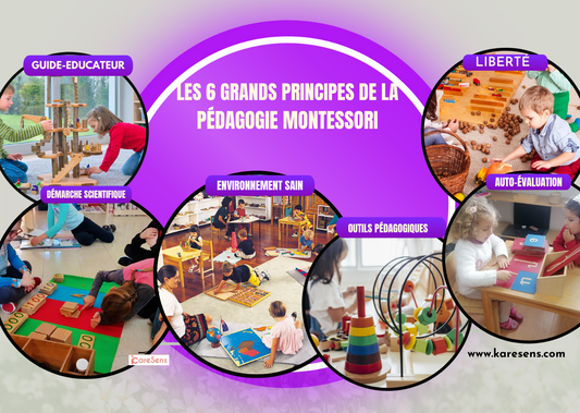 LES 6 GRANDS PRINCIPES DE LA PEDAGOGIE MONTESSORI